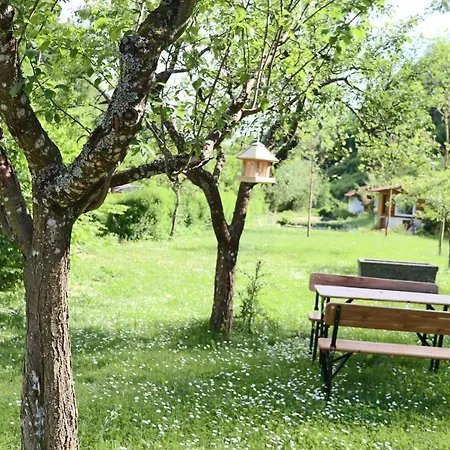 Haus Belchenwiese Die Belchenblick Nr2 شقة Kleines Wiesental